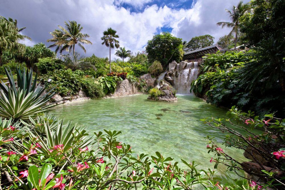 Vue colorée du Jardin Botanique de Deshaies
