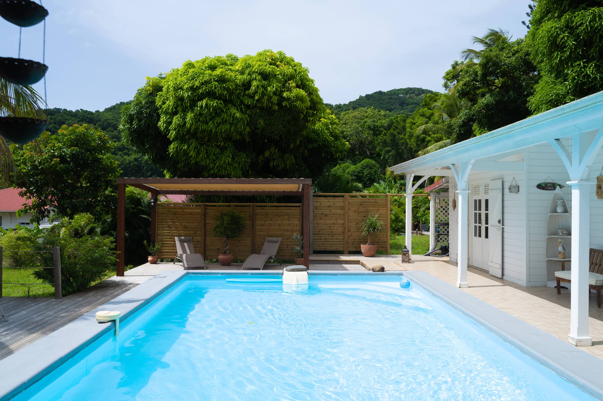 Piscine turquoise entourée de transats sous les cocotiers