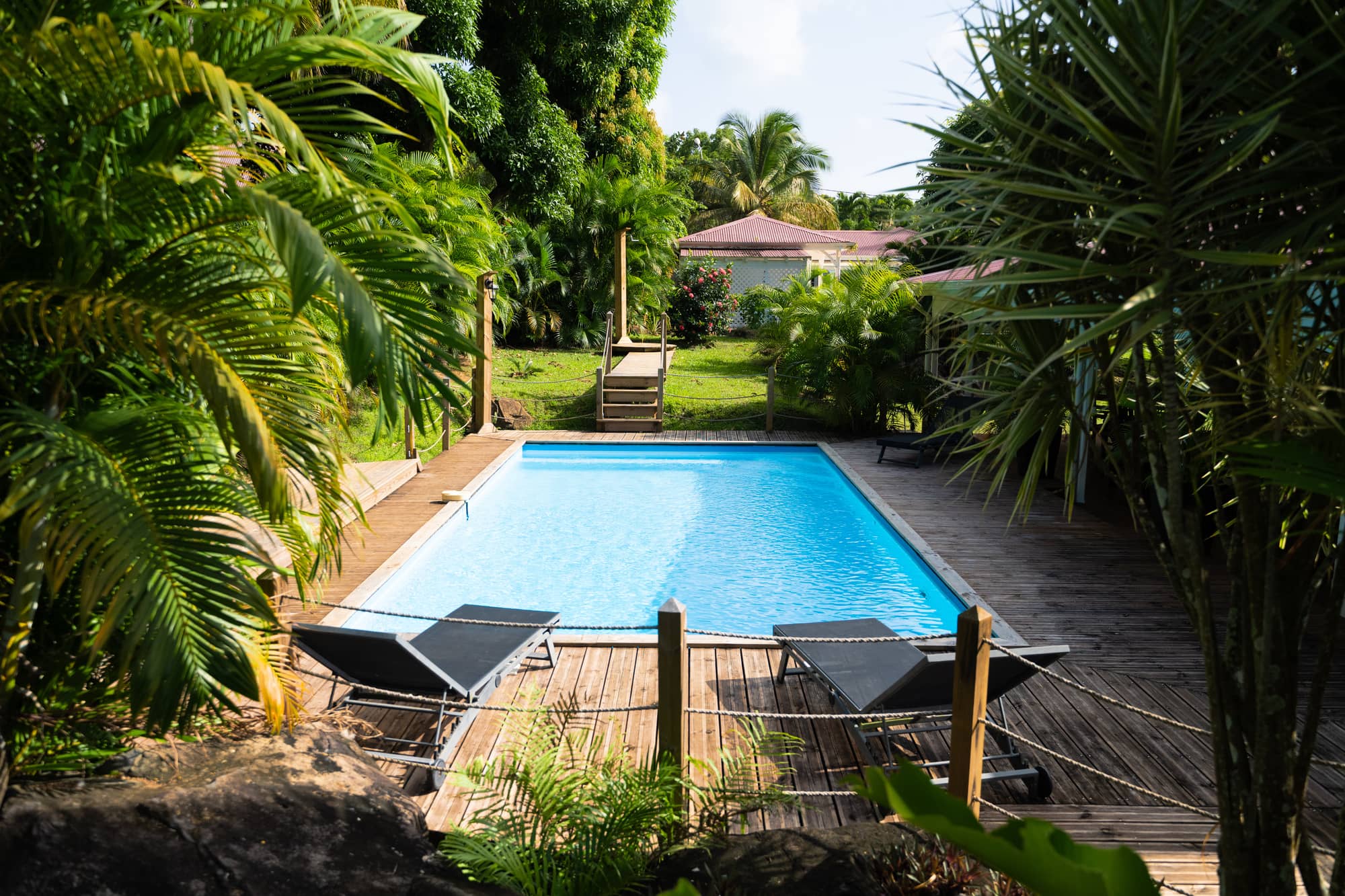 Piscine turquoise entourée de transats sous les cocotiers