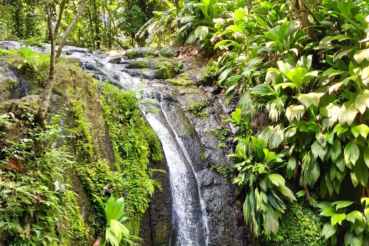 Cascade de Bis à Sainte-Rose