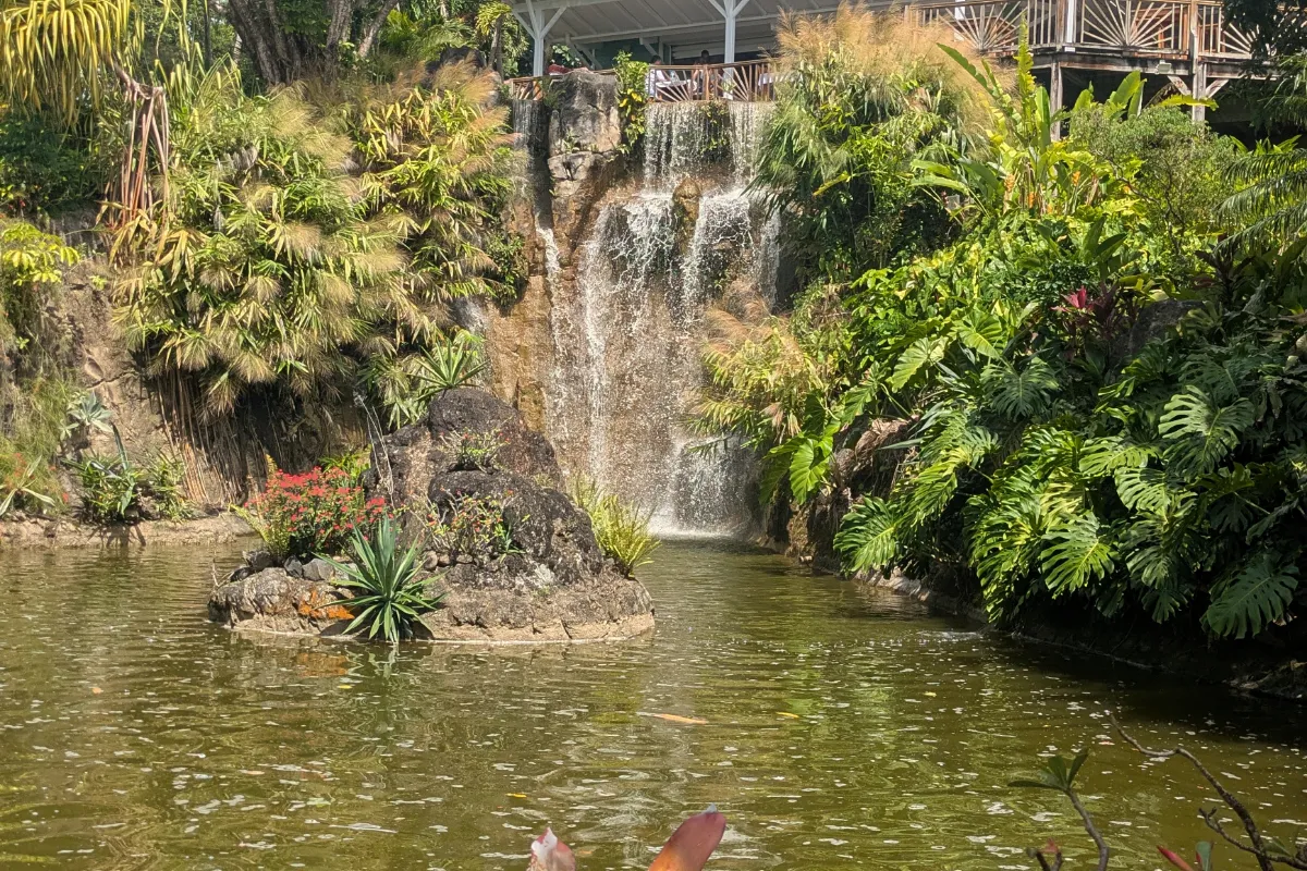 Le Jardin Botanique de Deshaies