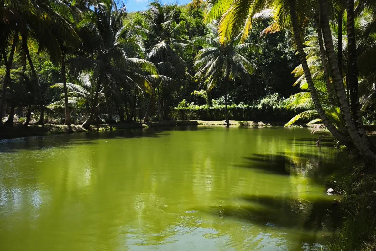 Parc Aquacole Pointe Noire